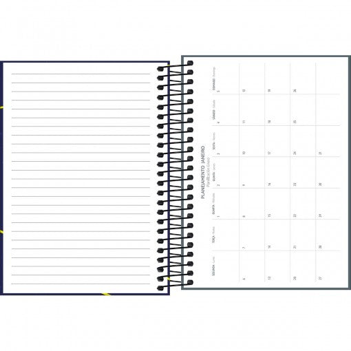 Agenda Espiral Diária 11,7 x 16,4 cm D+ Masculina 2025 - Sortido